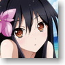Accel World Bathroom Poster (Anime Toy)