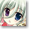 Character Sleeve Collection Magical Girl Lyrical Nanoha ViVid [Einhart Stratos] Ver.2 (Card Sleeve)