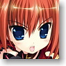 Character Sleeve Collection Magical Girl Lyrical Nanoha ViVid [Vita] (Card Sleeve)