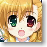 Character Binder Collection Magical Girl Lyrical Nanoha ViVid Ver.2 (Card Supplies)
