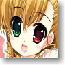 Character Deck Case Collection Max Magical Girl Lyrical Nanoha ViVid [Takamachi Vivio] (Card Supplies)