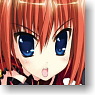 Character Deck Case Collection Max Magical Girl Lyrical Nanoha ViVid [Vita] (Card Supplies)