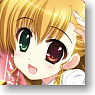 Character Sleeve Collection Platinum Grade Magical Girl Lyrical Nanoha Vivid [Takamachi Vivio] Ver.2 (Card Sleeve)