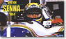 Williams FW16 Brazil GP w/Driver Figure (Model Car)