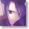 Character Sleeve Collection Platinum Grade Melty Blood [Sion Eltnam Atlasia] (Card Sleeve)