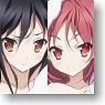 Accel World Cloth Poster A (Anime Toy)