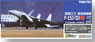 JASDF F-15J/DJ `78 (Painted Plastic model)