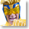 DC Comic Super Heroes / Bust Booster Gold (Completed)
