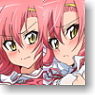 Hayate the Combat Butler Can`t take my eyes of you Hinagiku Kyunkyun Smooth Dakimakura Cover (Anime Toy)