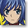 Bushiroad Sleeve Collection Mini Vol.74 Card Fight!! Vanguard [Sendo Aichi] Part.3 (Card Sleeve)