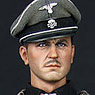DAMTOY 1/6 ドイツ ナチス党 武装親衛隊 指揮官 クルト・マイヤー (ドール)