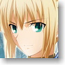 [Fate/Zero] Card Folder [Saber] (Anime Toy)