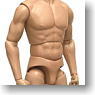 Action Figure Body Male Christian Ver.0 (Plane Color Ver.) AB-7 (Fashion Doll)