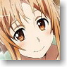 Sword Art Online A3 Clear Poster A (Anime Toy)