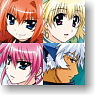 [Magical Girl Lyrical Nanoha The Movie 2nd A`s] Large Format Mouse Pad [Wolkenritter] (Anime Toy)