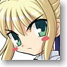 Character Sleeve Collection Mini Fate/stay night [Yakusokusareta shori no fuda!] (Card Sleeve)
