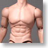 Hot Toys TrueType - 1/6 Scale Action Figure Body: Basic - Caucasian Male (Advanced Muscular Body Version) (Fashion Doll)
