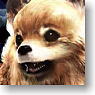 Character Sleeve Collection Tokyo Jungle [Pomeranian] (Card Sleeve)