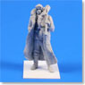 Wehrmacht soldier 1944 (winter dress – long coat) (Plastic model)