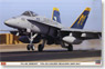 F/A-18C ホーネット `VFA-192 ゴールデンドラゴンズ 2009/2011` (プラモデル)