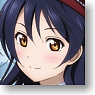 Lovelive! Color Pass Case Ver.2 Sonoda Umi (Anime Toy)