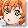 Lovelive! IC Card Sticker Set Ver.2 Hoshizora Rin (Anime Toy)