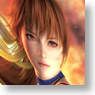 デザジャケット DEAD OR ALIVE 5 iPhoneケース＆保護シート for iPhone4/4S デザイン1 (キャラクターグッズ)