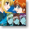 [Magical Girl Lyrical Nanoha The Movie 2nd A`s] Card Folder [One thought] (Anime Toy)