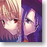 Character Binder Collection Melty Blood (Card Supplies)