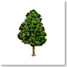 Deciduous Tree (Summer Green) (2 pcs) (Model Train)