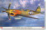 P-40N Warhawk `The 502nd FS` (Plastic model)