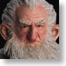 The Hobbit: An Unexpected Journey - Balin the Dwarf (Completed)