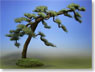 Japanese Scenery Series `MiniJapan` #6 Genpei Pine (Japanese Black Pine, Large) (1pc.) (Model Train)