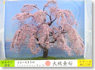 Japanese Scenery Series `MiniJapan` #16 Weeping Cherry (1pc.) (Model Train)