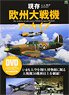 現存欧州大戦機アーカイブ