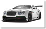 ベントレー コンチネンタル GT3 モンディアル・ド・ロトモビル 2012 限定 500pcs (ミニカー)