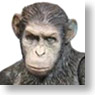 Rise of the Planet of the Apes 5 inch Action Figure Caesar (Completed)