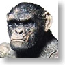 Rise of the Planet of the Apes 5 inch Action Figure Koba (Completed)