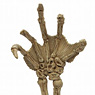 Universal Monsters Select / The Creature from the Black Lagoon : Gillman Fossilized Hand 1/1 Prop Replica (Completed)