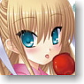 Little Busters! Ecstasy Color Pass Case vol.2 A (Tokido Saya) (Anime Toy)