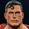 DC - Superman Premium Format Figure (Completed)