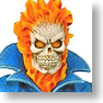 Marvel Select / Ghost Rider (Completed)