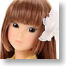 Momoko Doll Beach Angel (Fashion Doll)