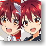 Vividred Operation Cushion Cover Issiki Akane (Anime Toy)