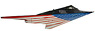 F-117 ナイトホーク `Stars & Stripes` (完成品飛行機)