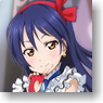 Dezajacket Love Live! iPhone Case & Protection Sheet for iPhone 5 Design 4 Sonoda Umi (Anime Toy)