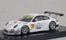 Endless Taisan Porsche Super GT300 2013 Okayama Test (White)