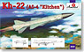 Kh-22 (AS-4 Kitchen) w/Tu-22 (Plastic model)