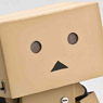 Revoltech Danboard [Face-lift Box] (Completed)