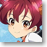 Vividred Operation W Suede B1 Tapestry Issiki Akane (Anime Toy)